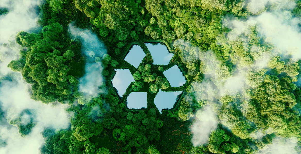 En skog med en återvinningssymbol